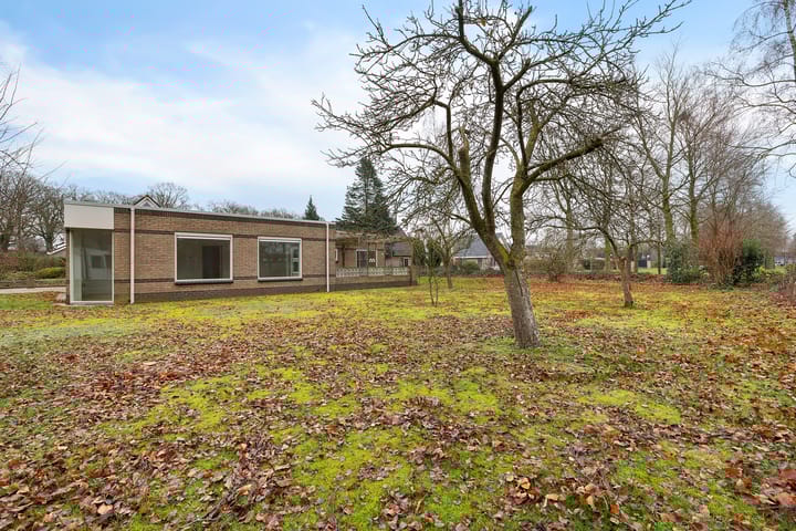 Foto 37 van Dwerggors 1