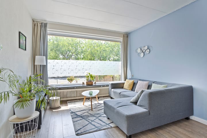 Foto 2 van Adelaertstraat 37