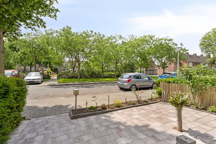 Foto 11 van Adelaertstraat 37