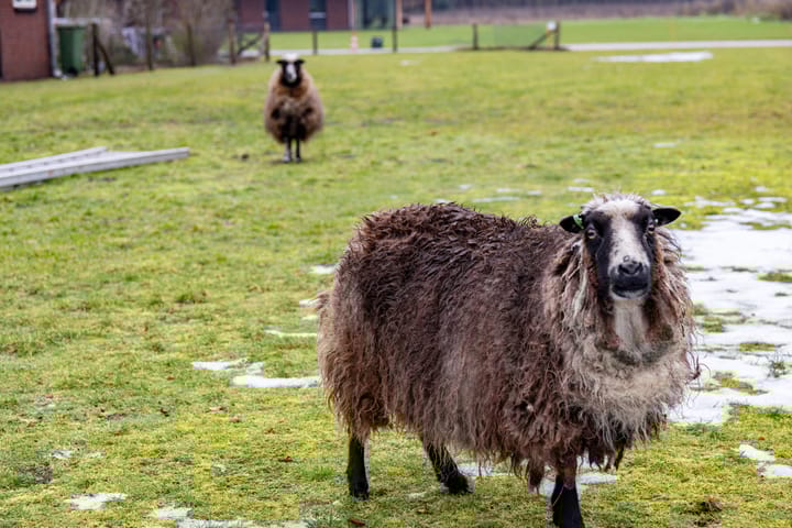 Foto 28 van Haarlerweg 2-A