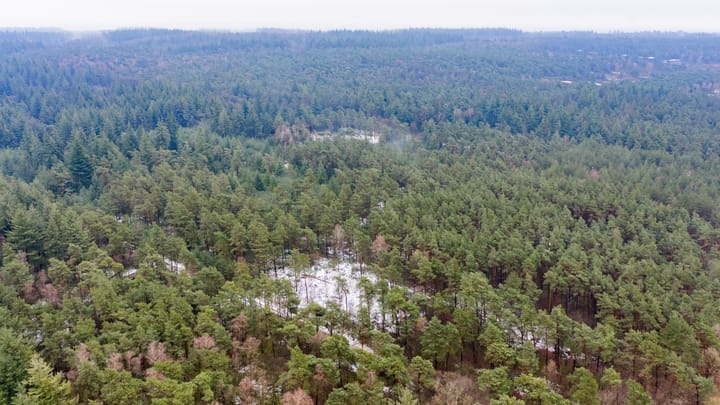 Foto 36 van Haarlerweg 2-A