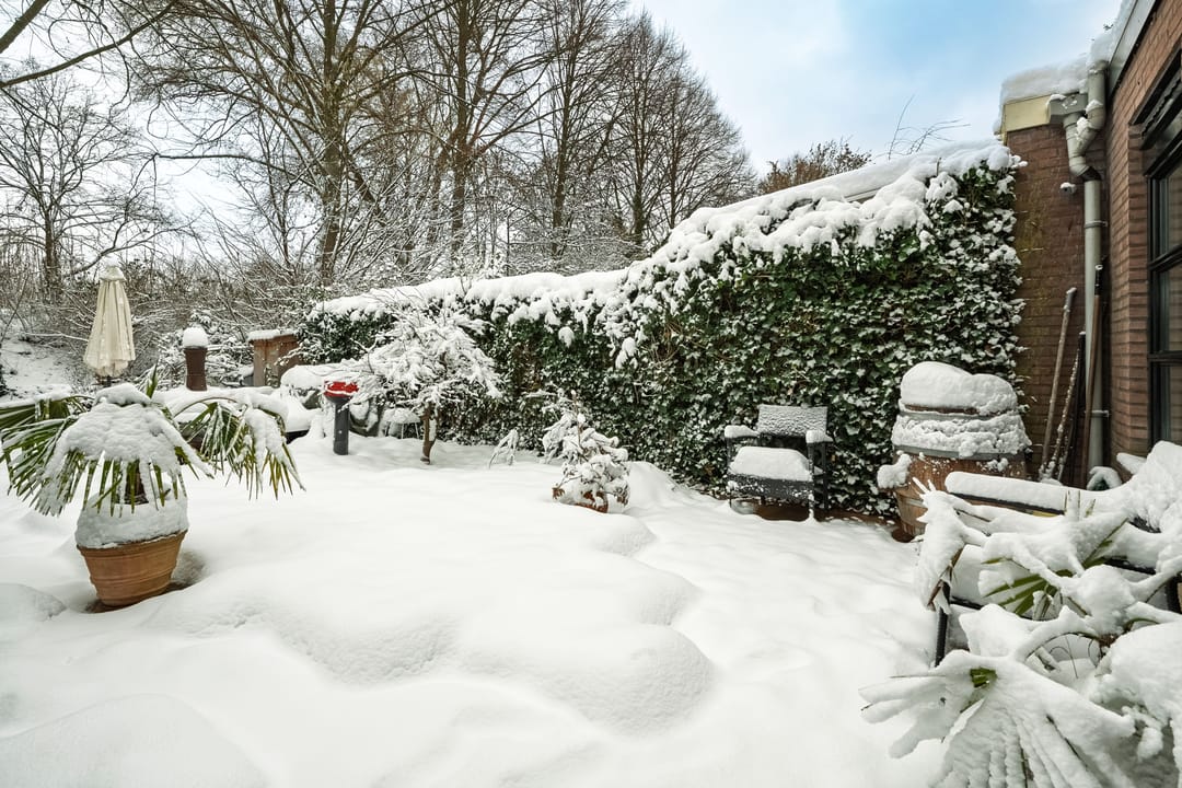 Photo 28 of Gruttoweide 159