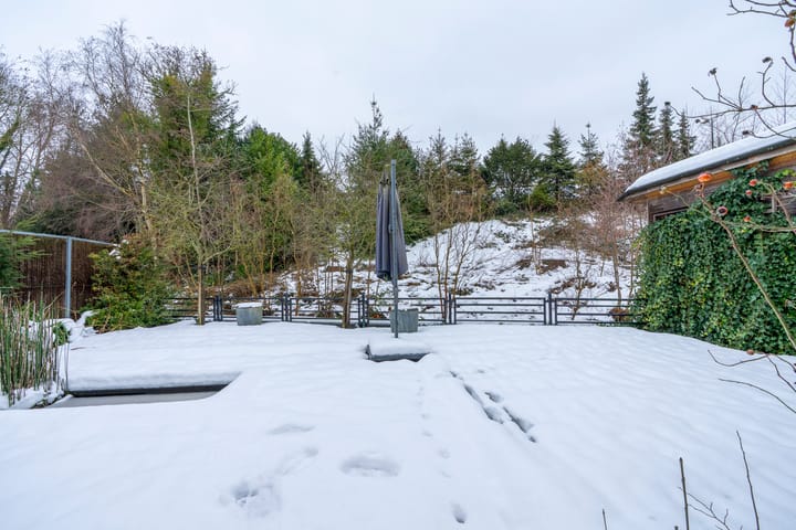 Foto 10 van Daslook 61