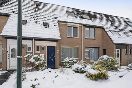 Distellaar thumbnail