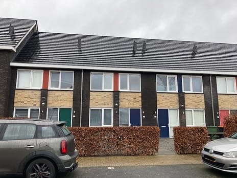 undefined main image