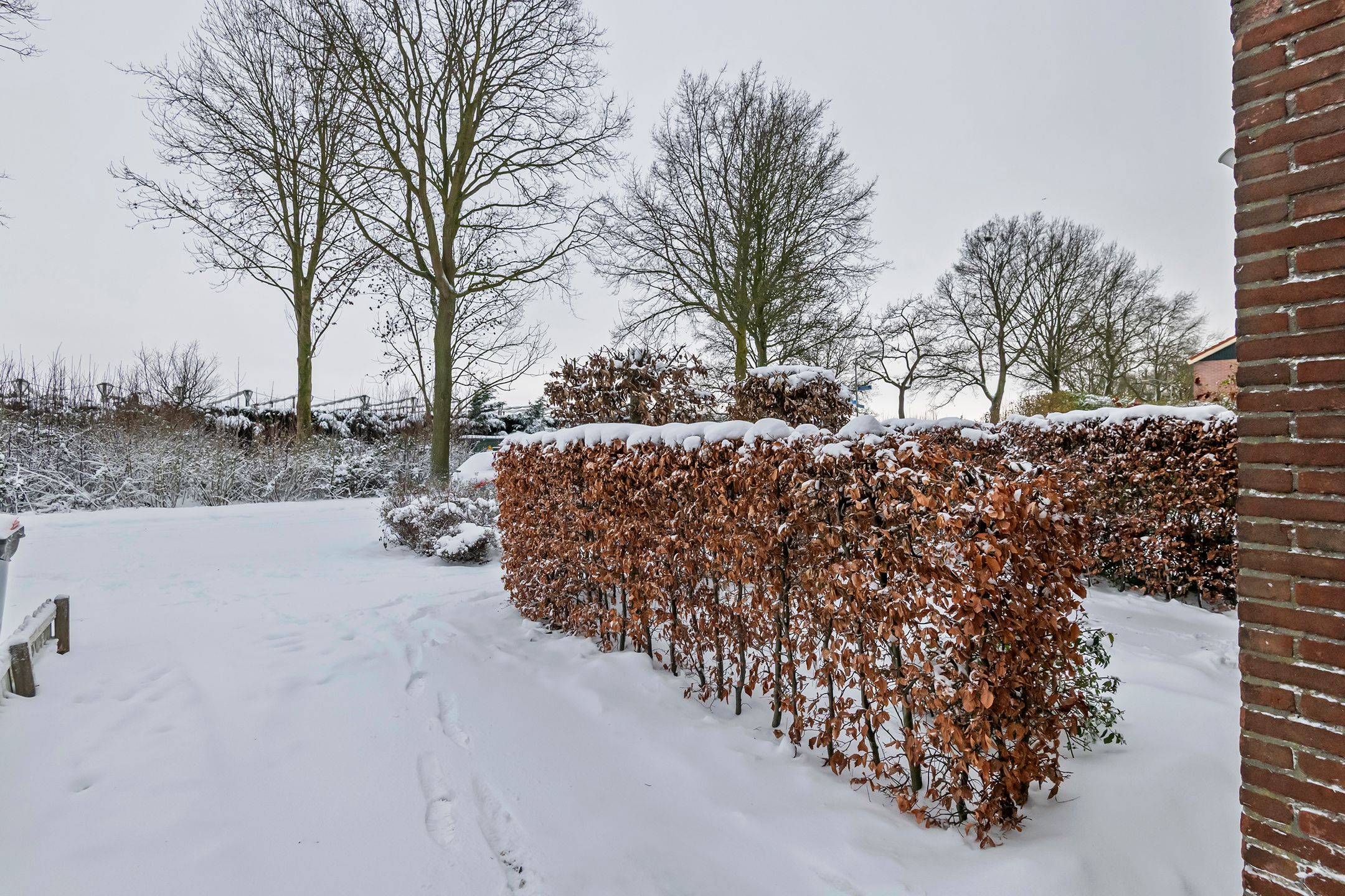 Photo 6 of Wethouder van Ooijenweg 35