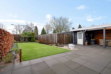 Knopkruid 19 tertiary image