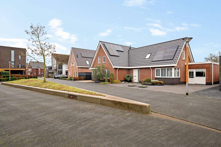 Foto 6 van Knopkruid 19