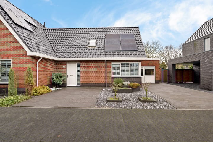 Foto 8 van Knopkruid 19