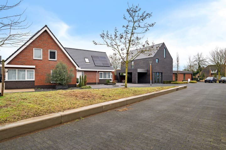 Foto 47 van Knopkruid 19