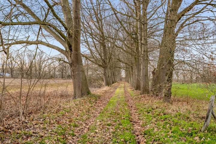 Foto 13 van Veldkeizerdijk 4