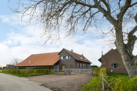 Visserweert thumbnail