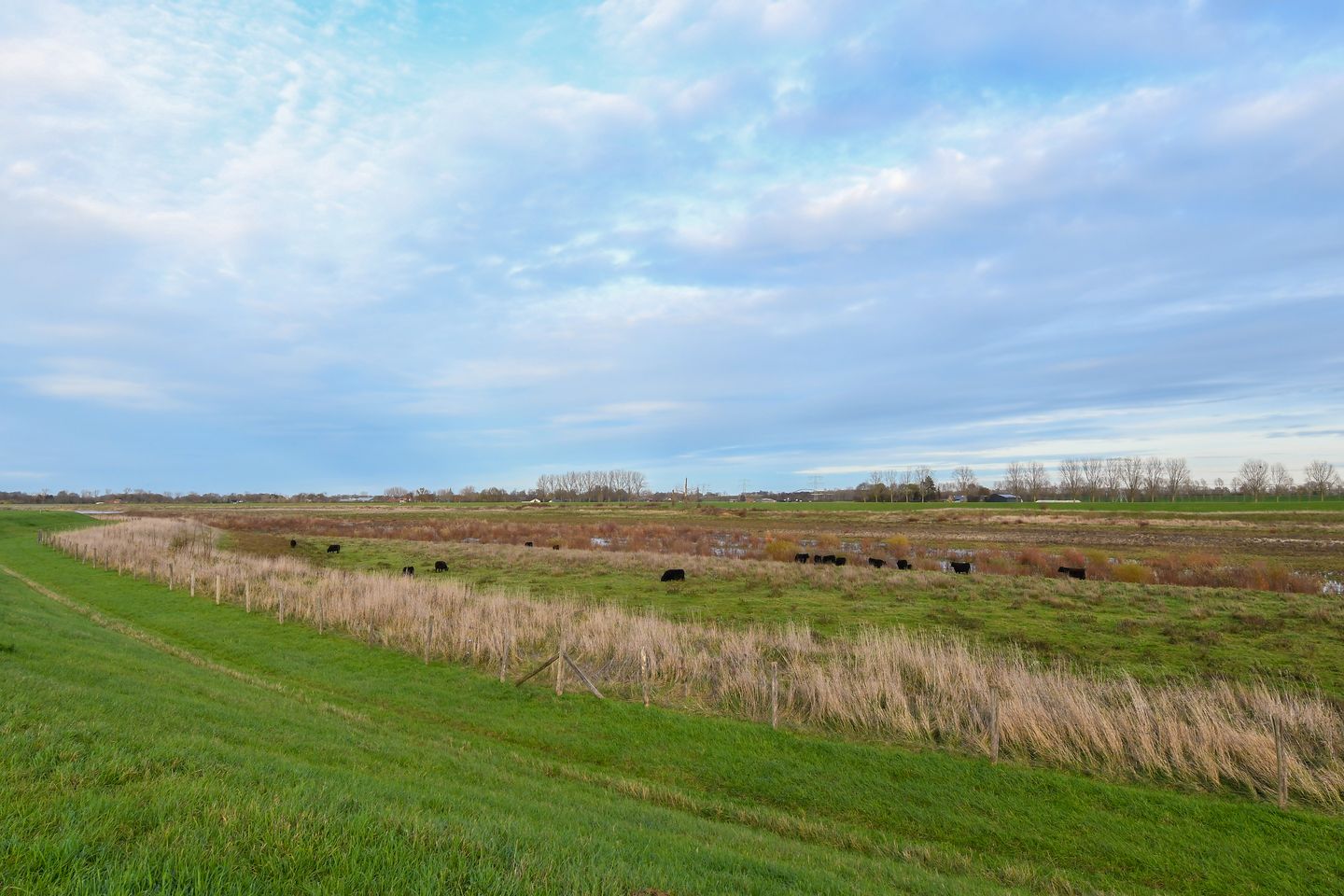 Photo 70 of Visserweert 17