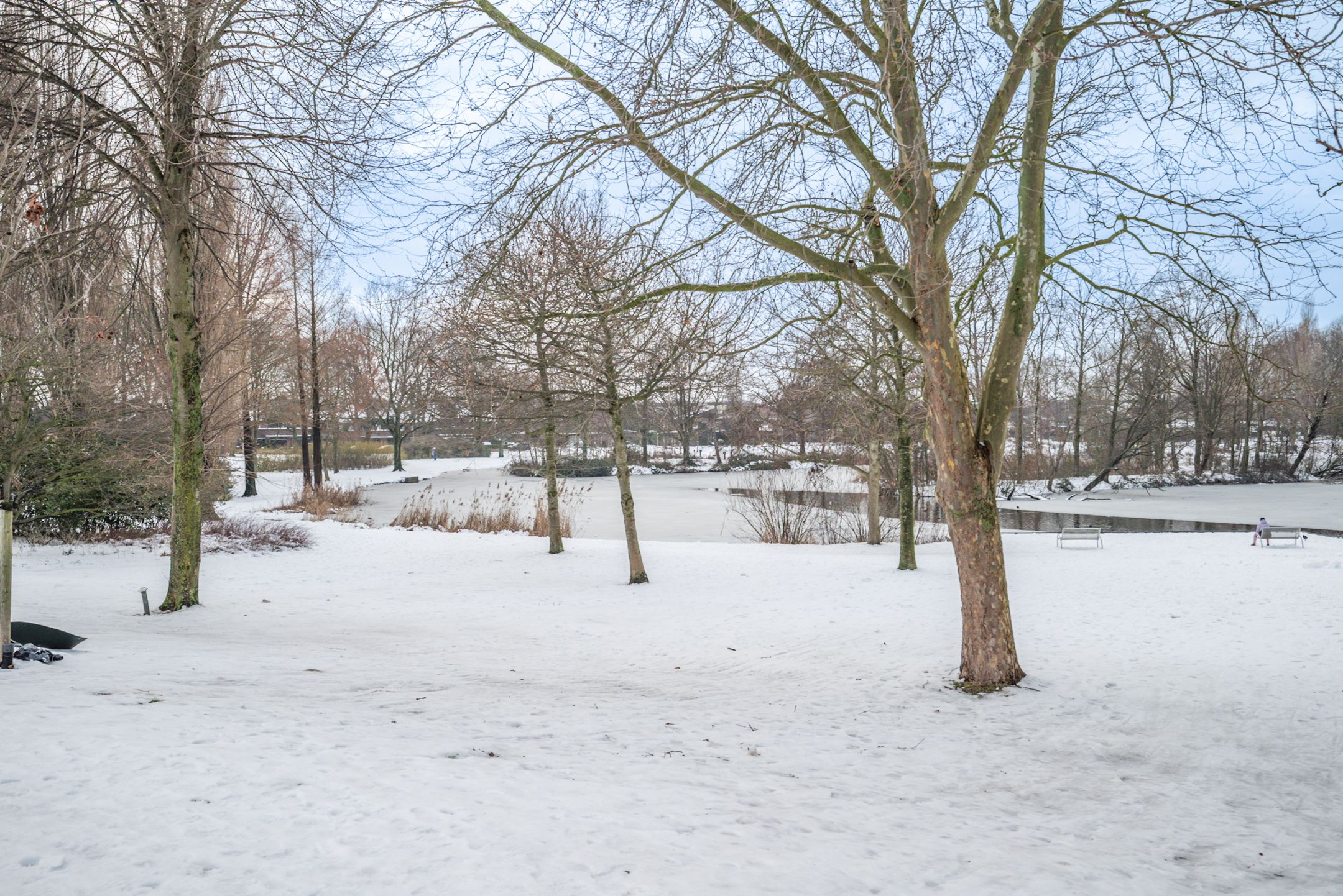 Foto 39 van de Vlashoeck 93