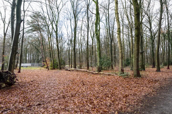 Foto 40 van Beverweg 35