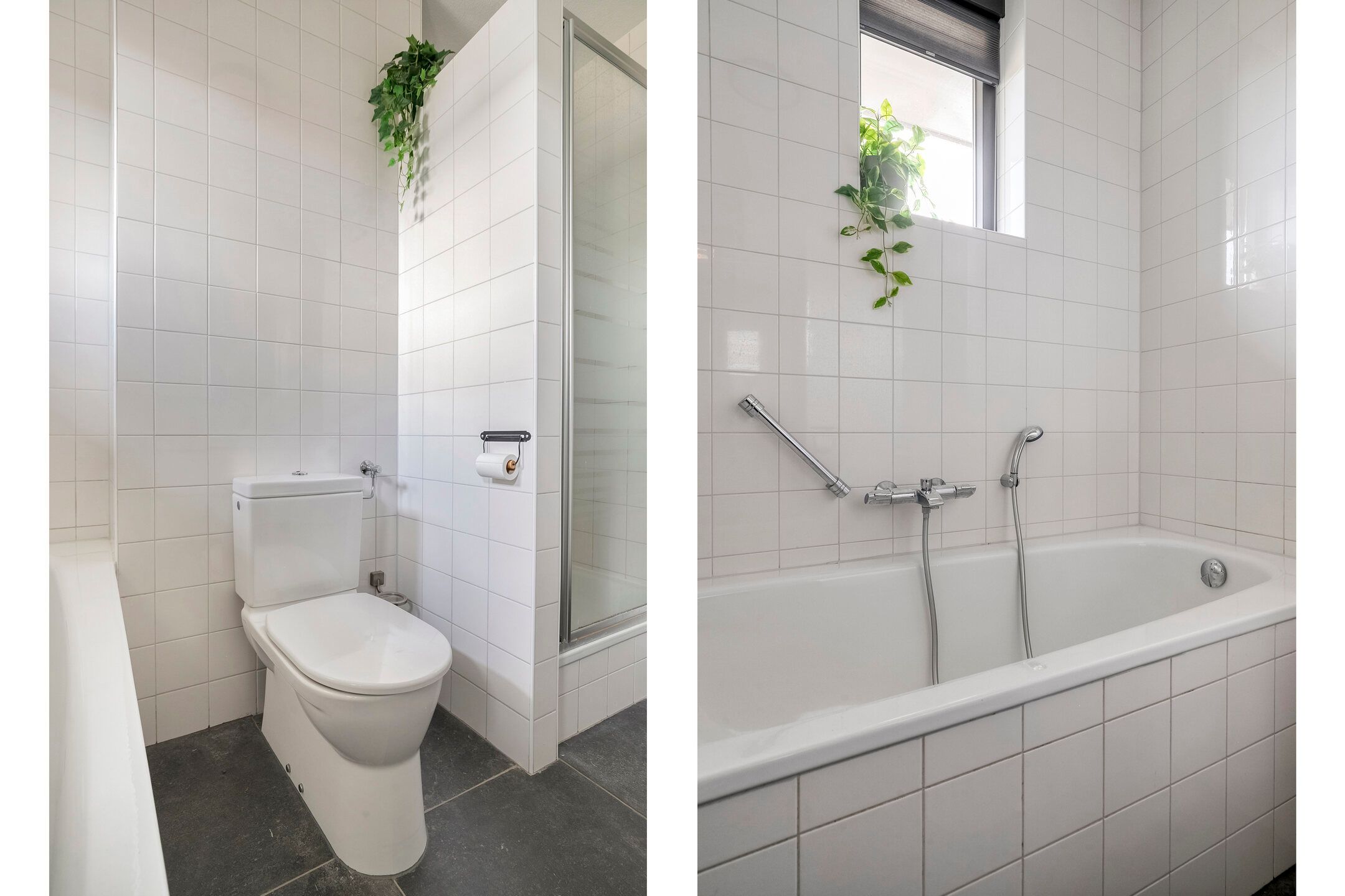 Foto 27 van Sabelpootlaan 31