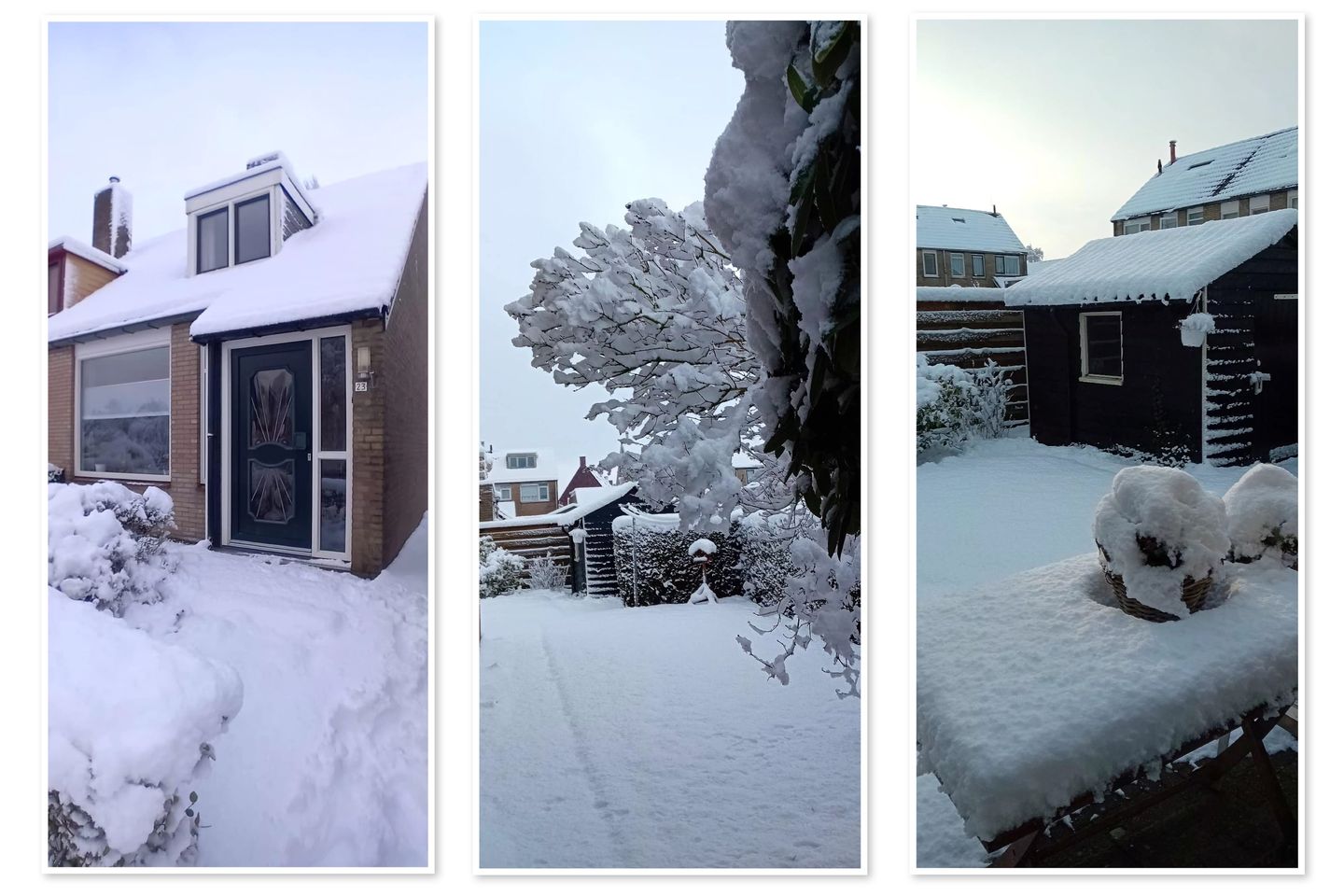 Photo 64 of P.Walmastrjitte 23