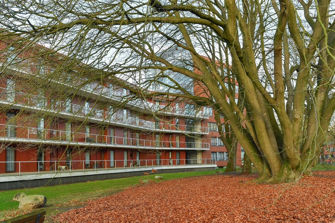 Photo 43 of Houtsniplaan 76