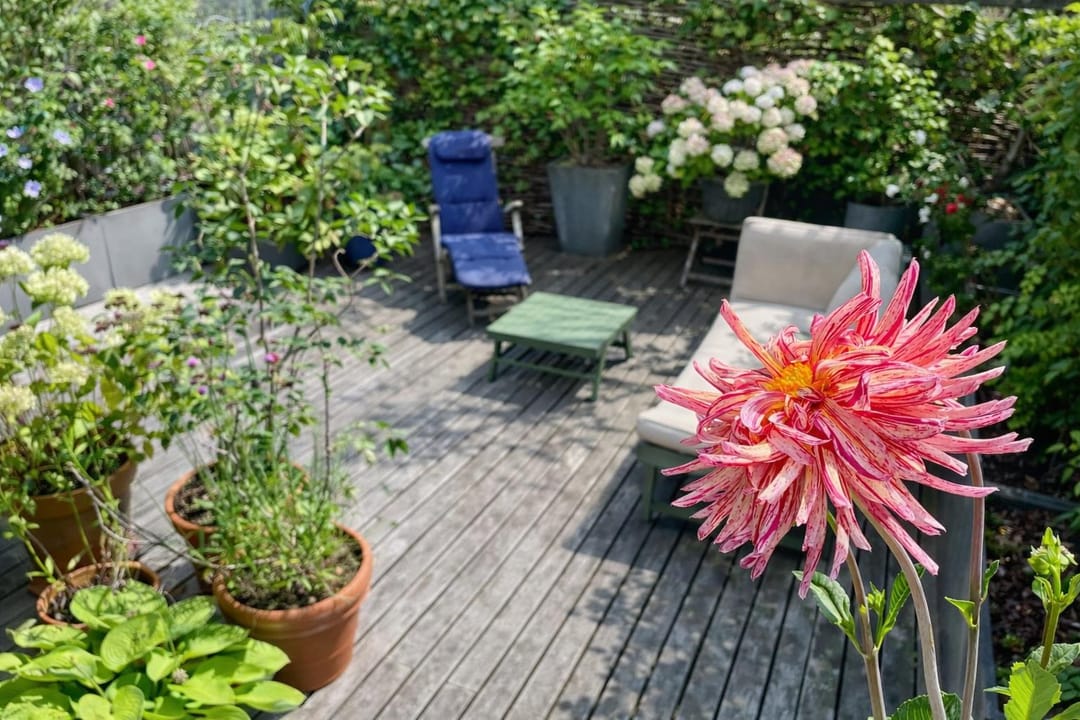 Foto 13 van Prof. Kohnstammstraat 53