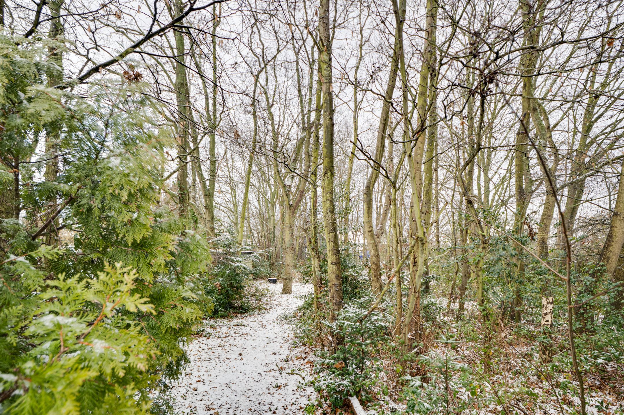 Photo 45 of Marijkeweg 38