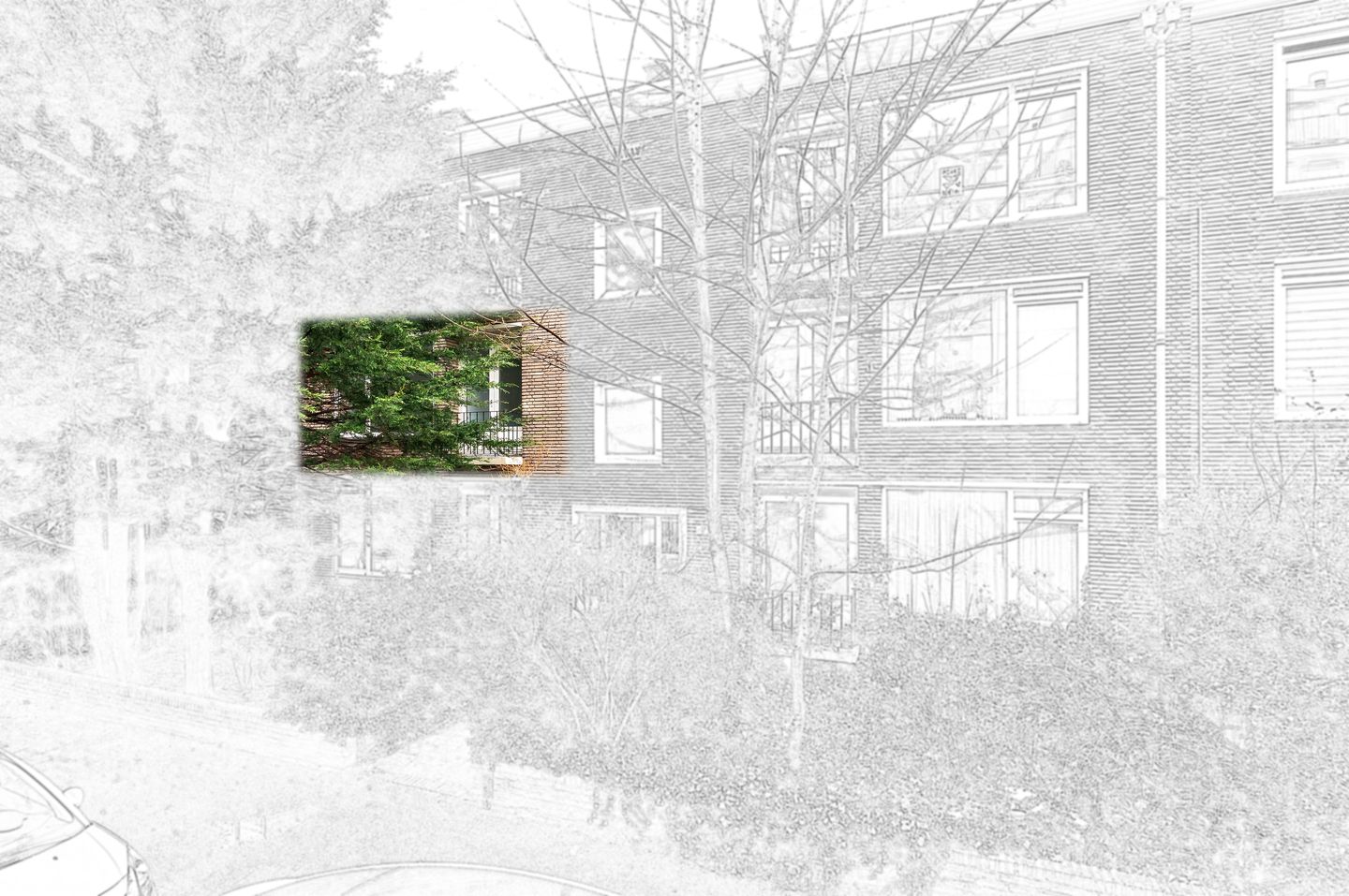 Photo 10 of Wilhelminastraat 93