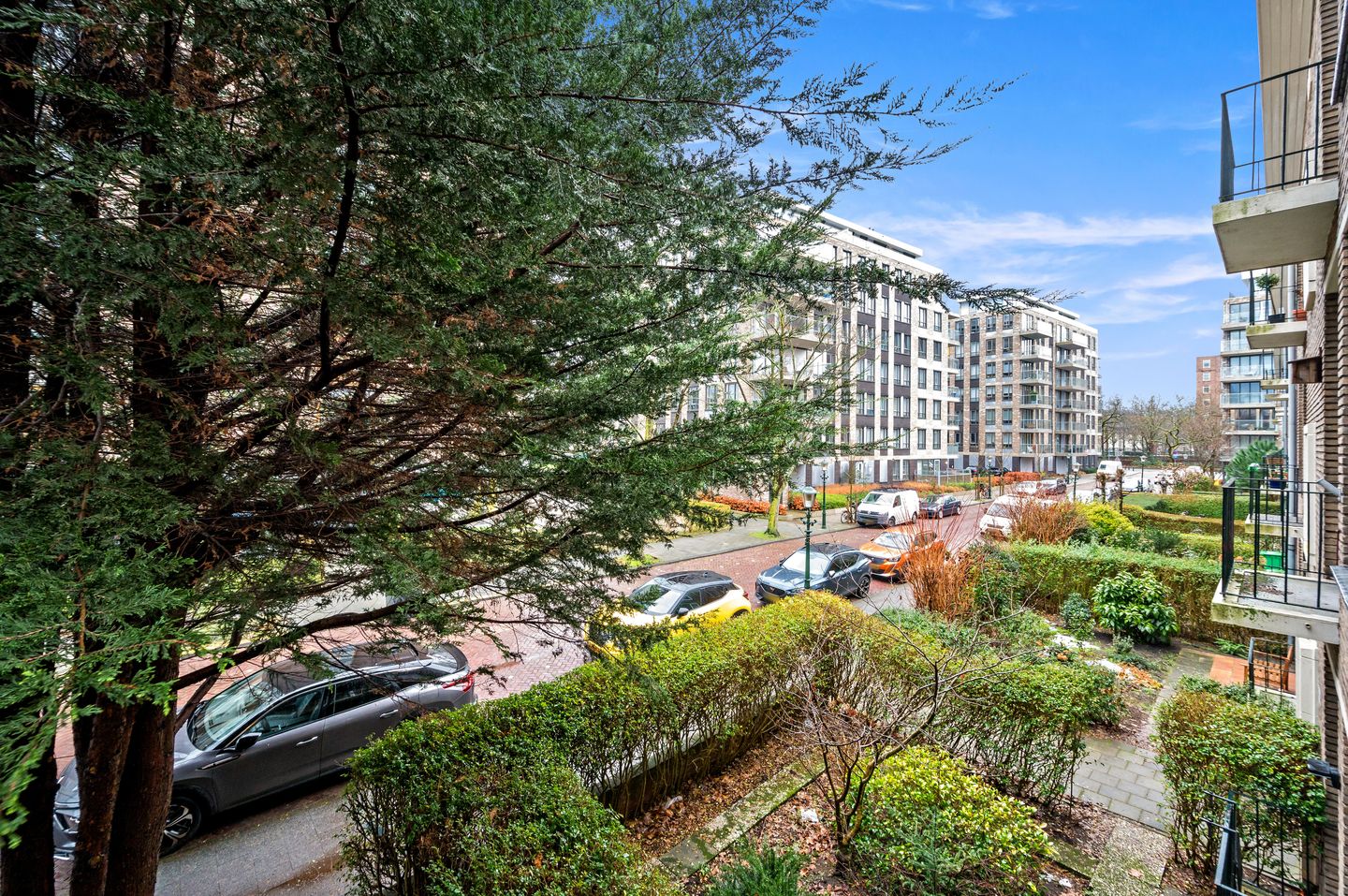 Photo 29 of Wilhelminastraat 93