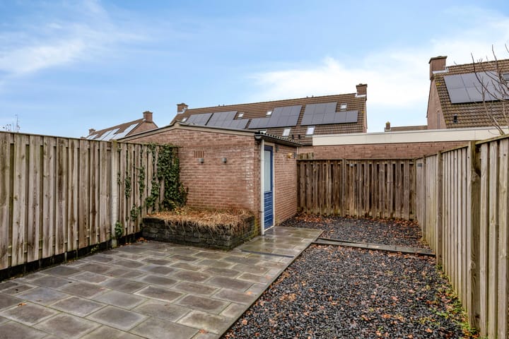 Foto 21 van Wollegras 50