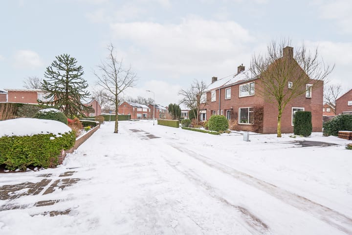 Foto 39 van Dr Schaepmanstraat 48