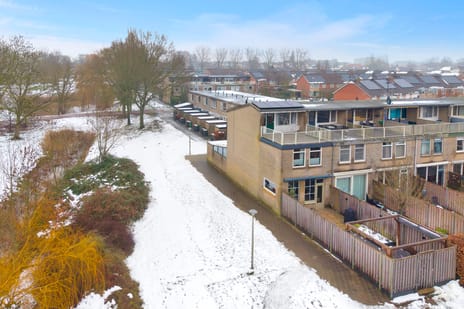 Reigerstraat thumbnail