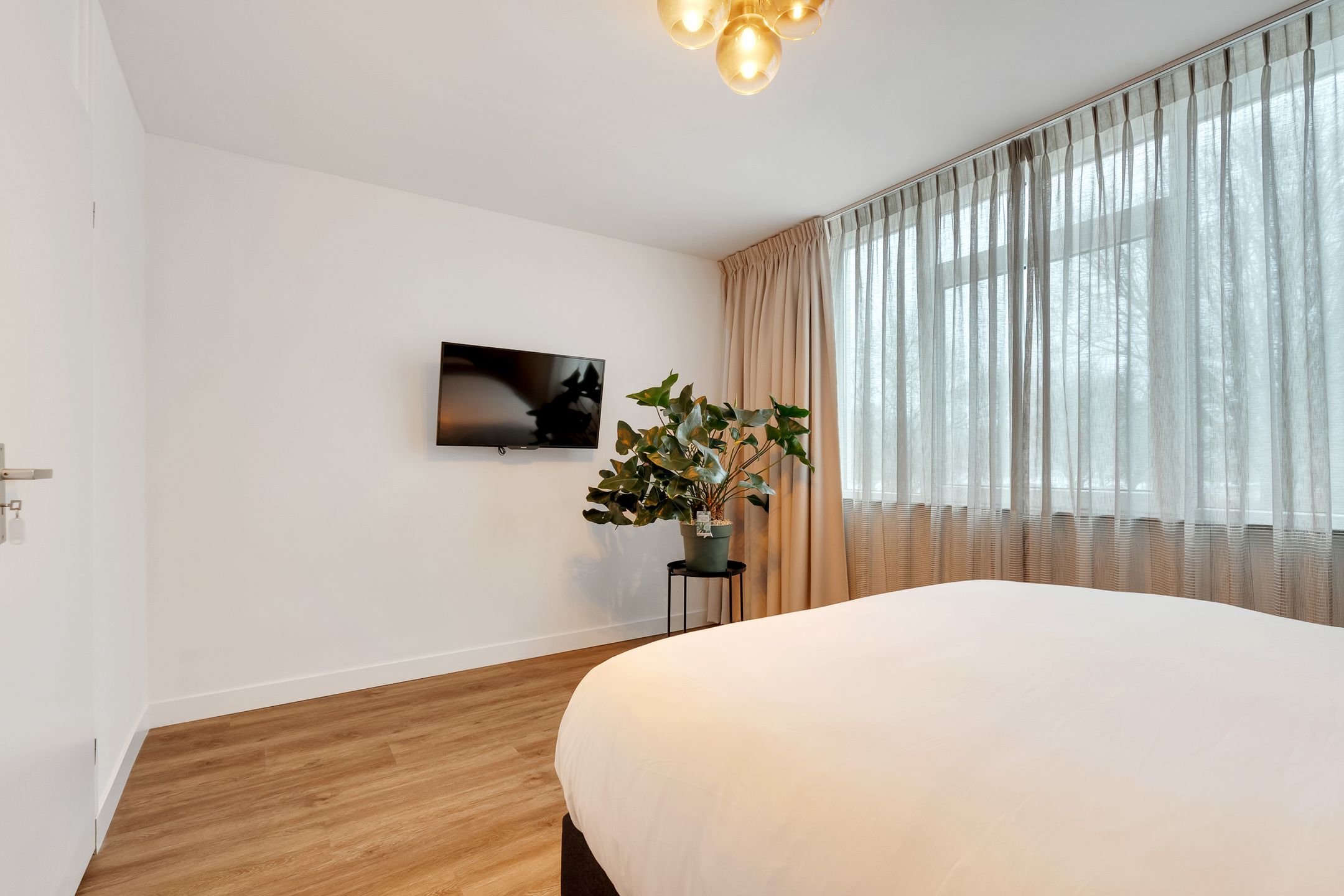 Photo 24 of Reigerstraat 52