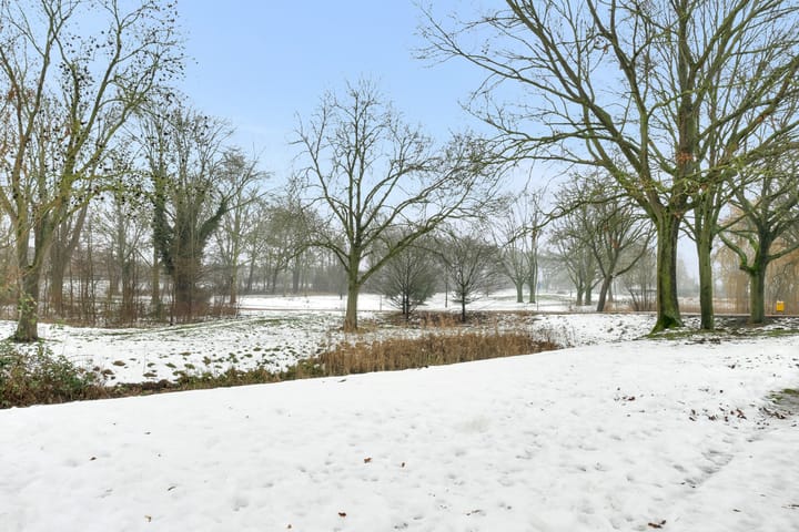 Foto 42 van Reigerstraat 52