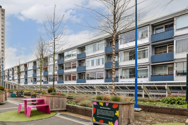 Photo 9 of Liesveld 82