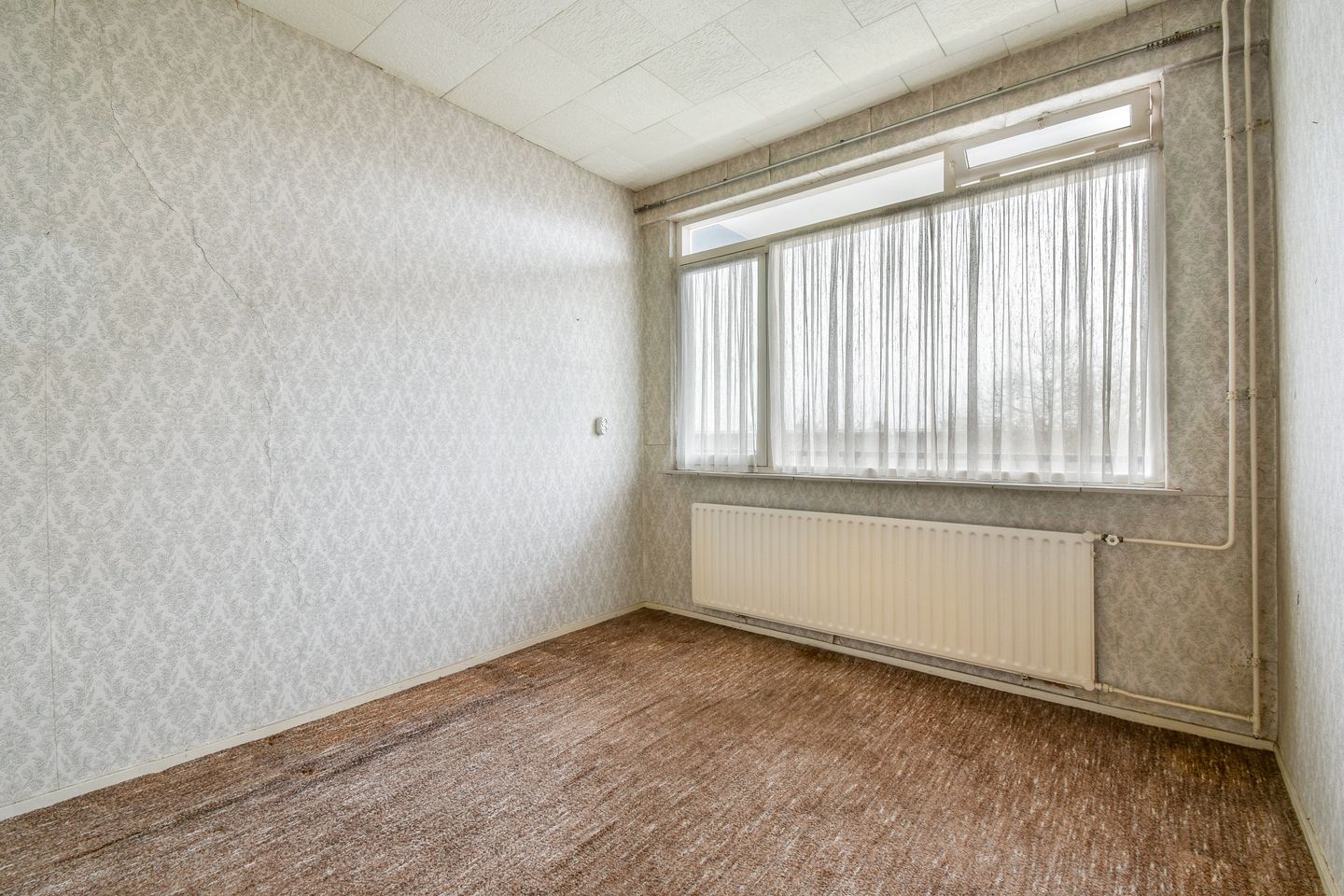 Photo 20 of Liesveld 82