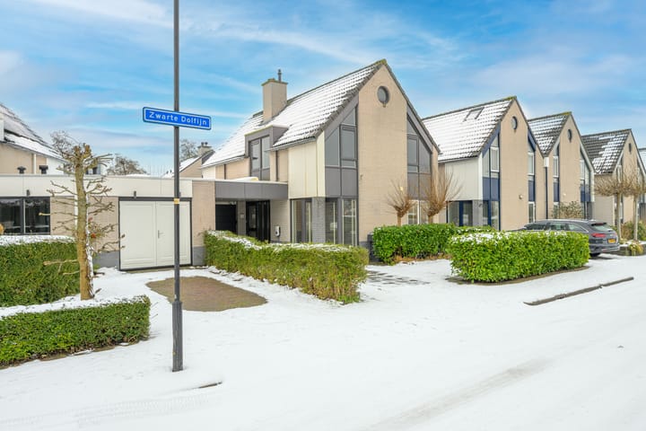 Foto 45 van Zwarte Dolfijn 27