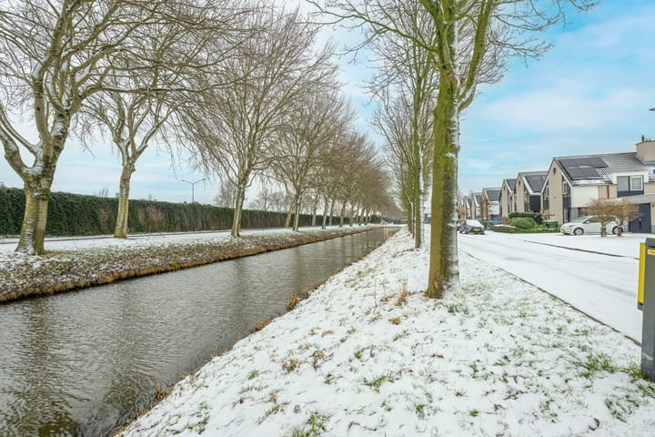 Foto 47 van Zwarte Dolfijn 27