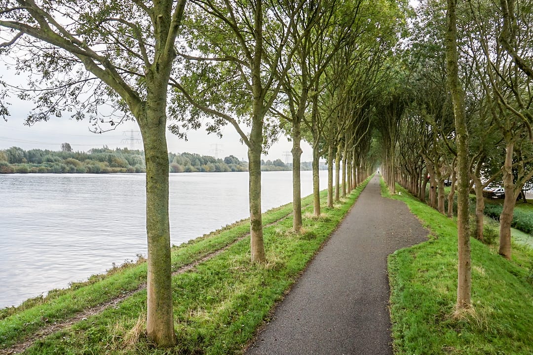 Foto 43 van Tjalk 112