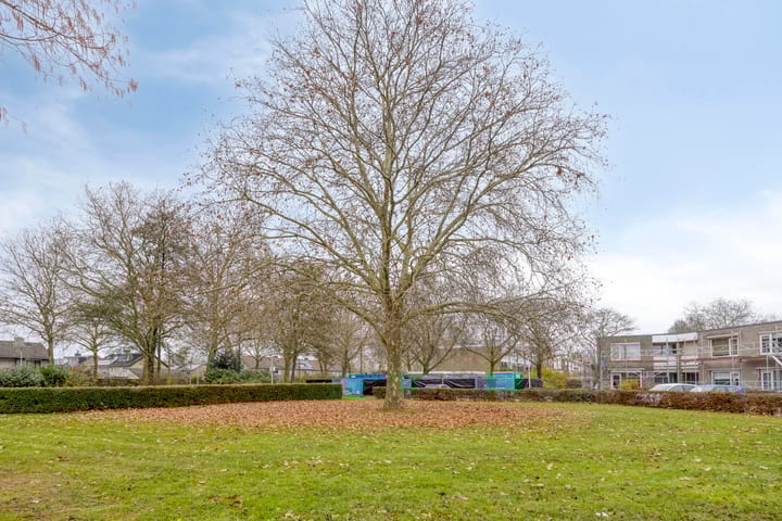 Foto 39 van Sweelinckstraat 46