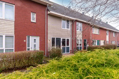 Peter van Straatenhof thumbnail