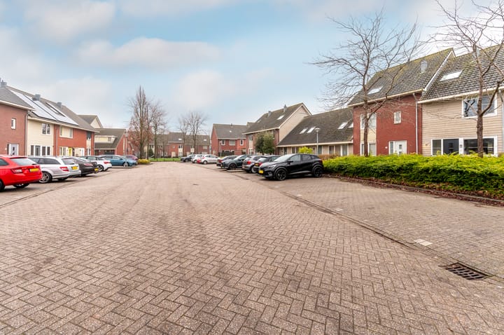 Foto 39 van Peter van Straatenhof 12