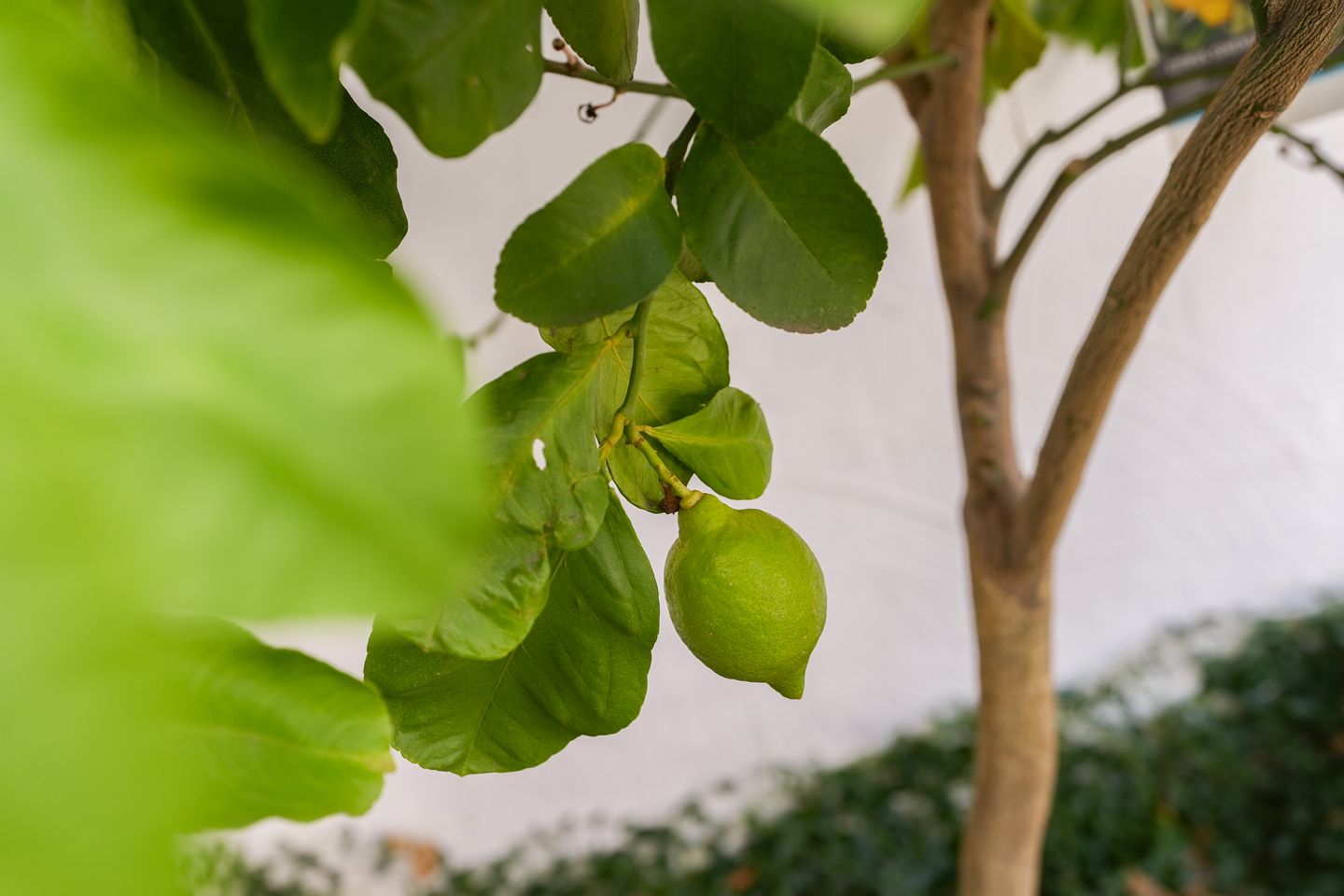 Foto 25 van Stijn Buysstraat 74