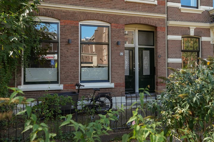 Foto 50 van Stijn Buysstraat 74