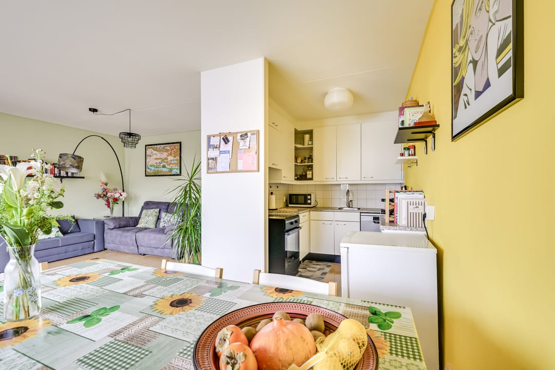 Photo 8 of Salland 4