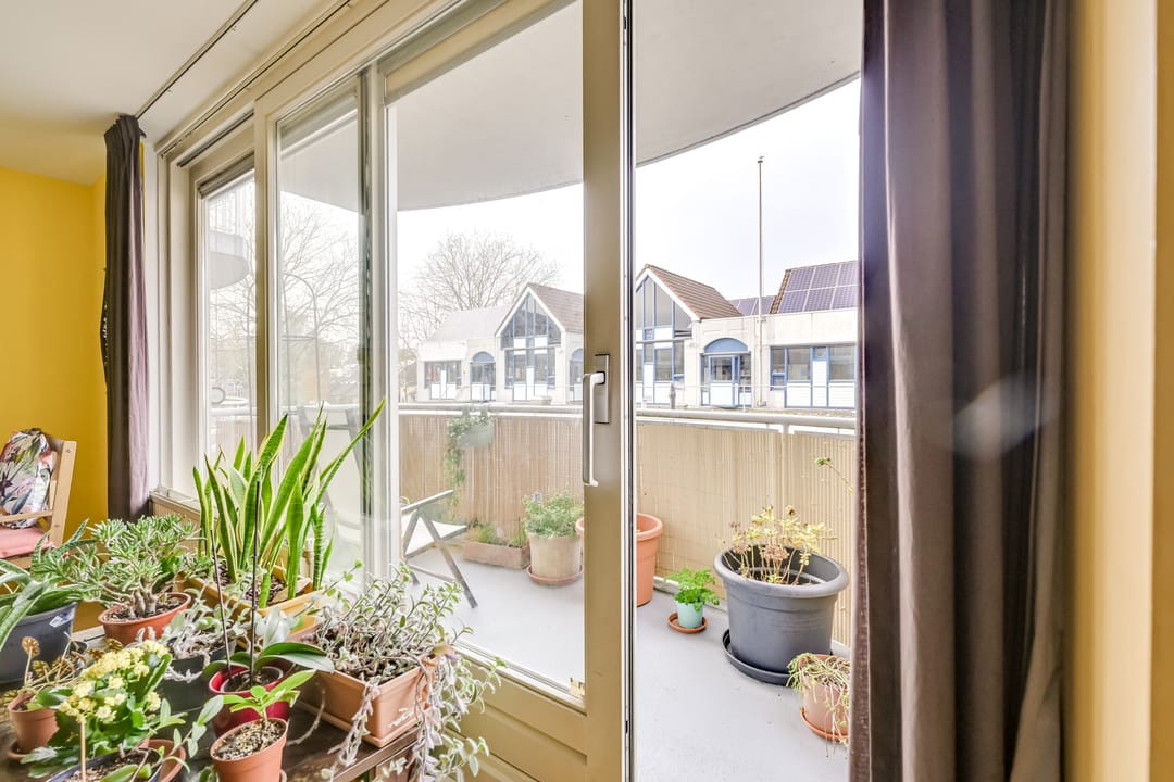 Photo 13 of Salland 4