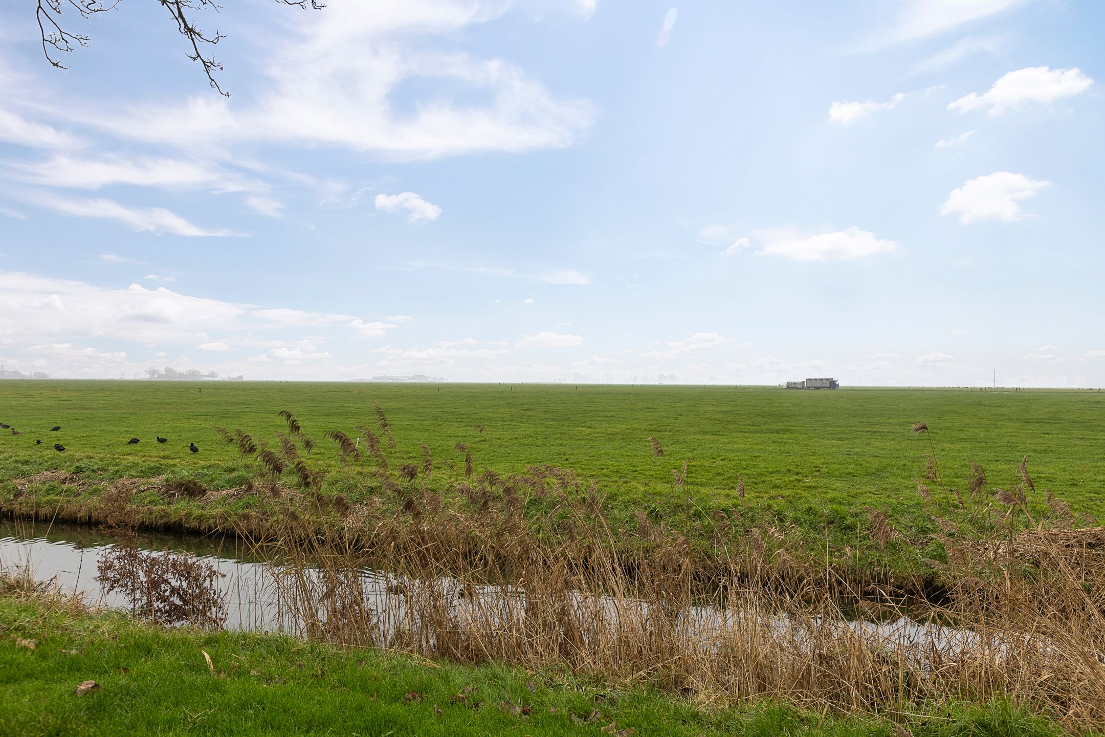 Photo 45 of De Esdoorn 12