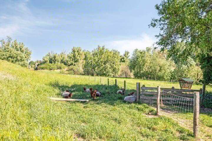 Foto 45 van Ringkade 33