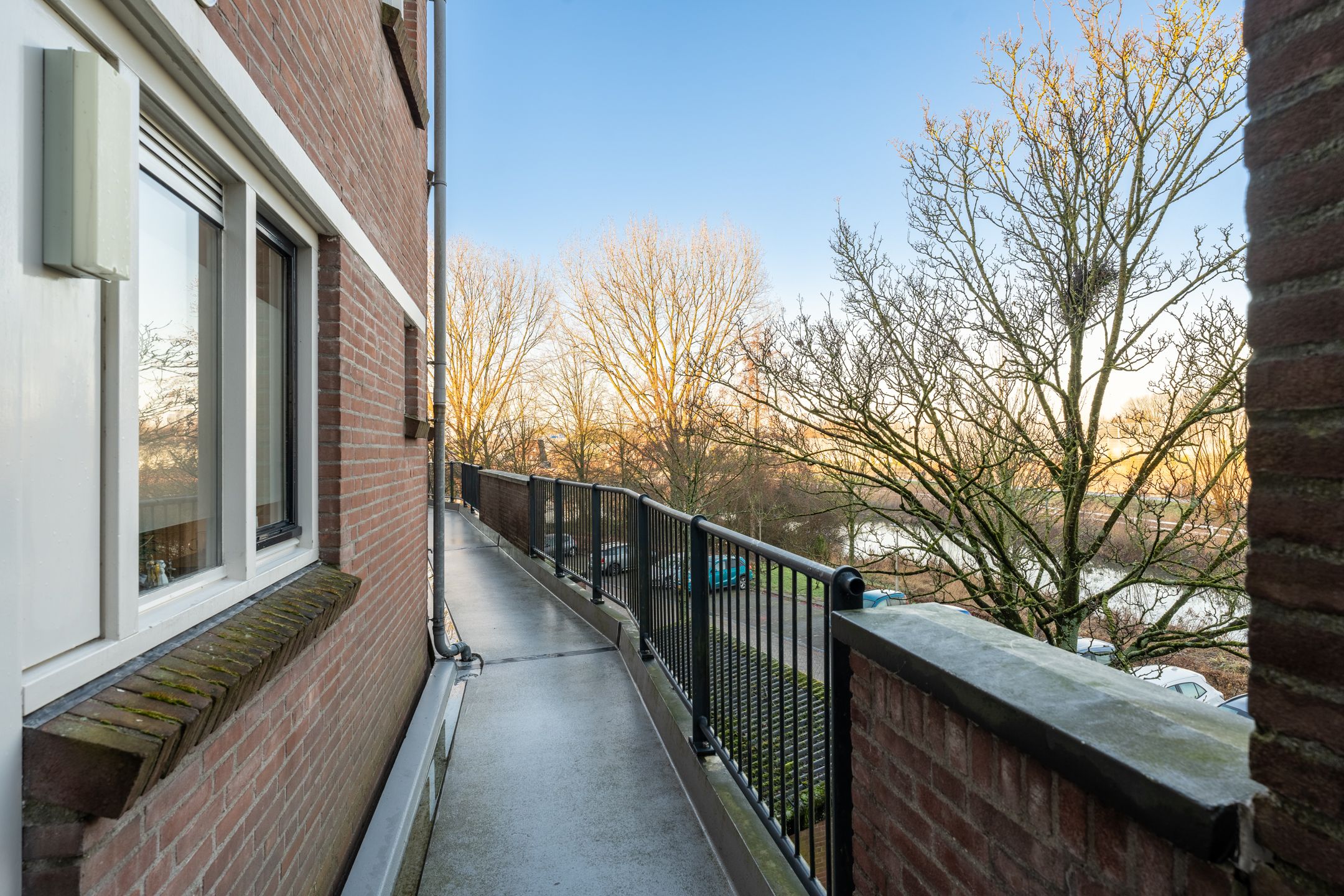 Foto 39 van Bomenrijk 95