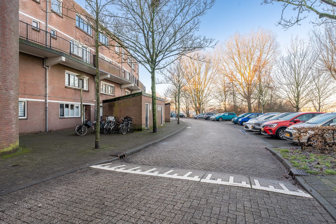 Foto 41 van Bomenrijk 95