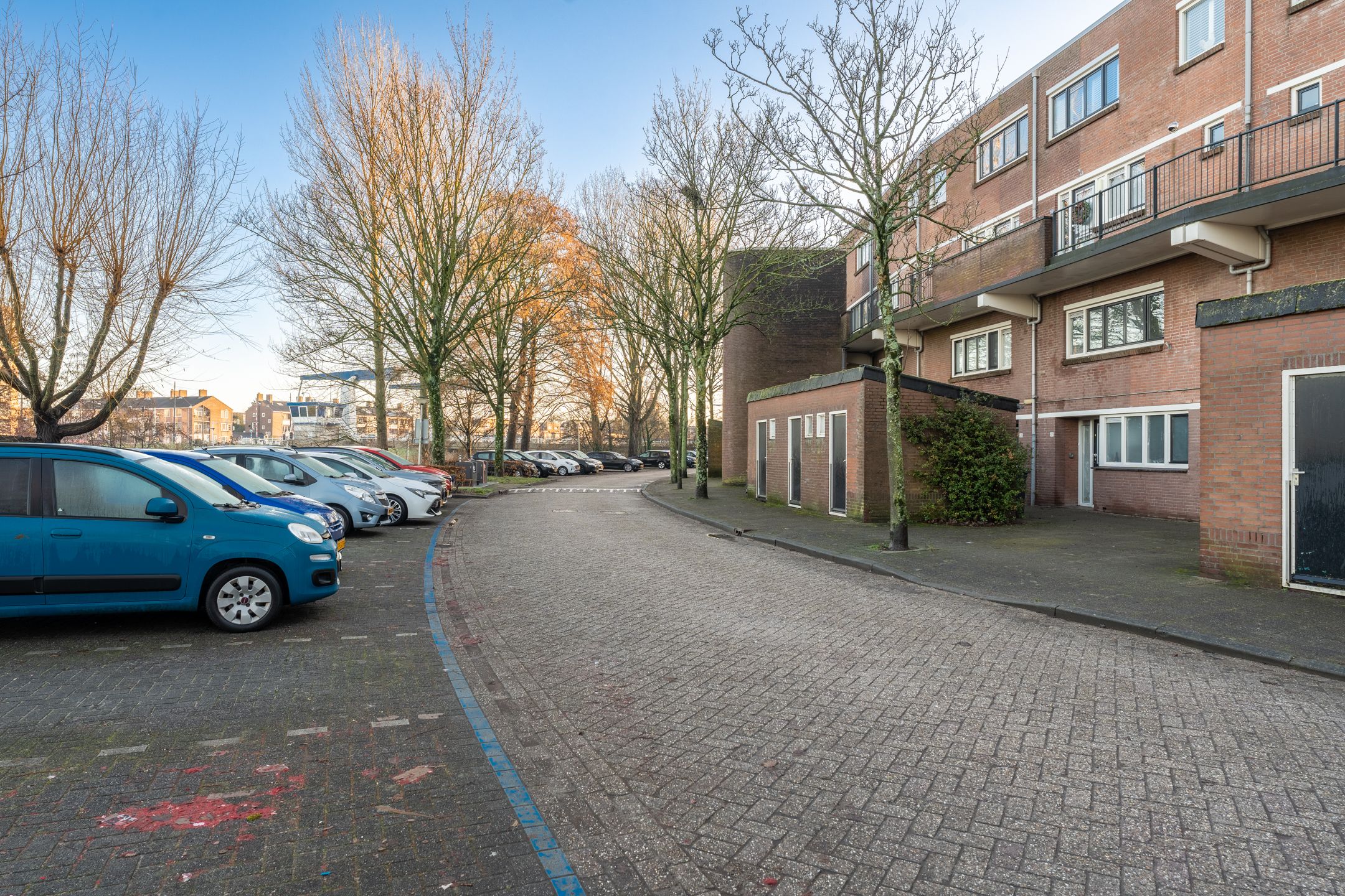 Foto 42 van Bomenrijk 95