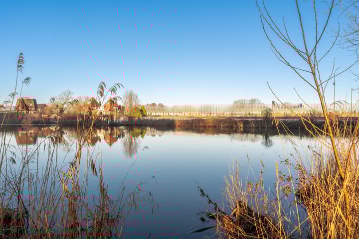 Foto 43 van Bomenrijk 95