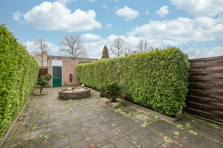 Foto 2 van Fossielenerf 190